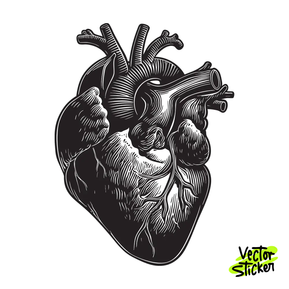 Anatomical Heart T-Shirt Design PNG – Dark Vintage Blackwork Illustration